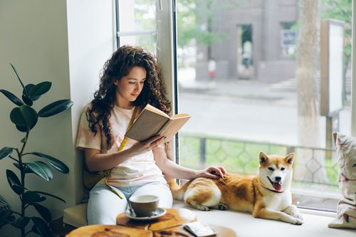 beautiful young woman with naturally wavy dark hair, reading a book near a window and petting a Shiba Inu dog - mindfulness and recovery